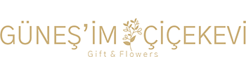 asalet mor orkide Siparişi Afyon Çiçek Afyon Çiçekçiniz | Afyon Çiçekçi