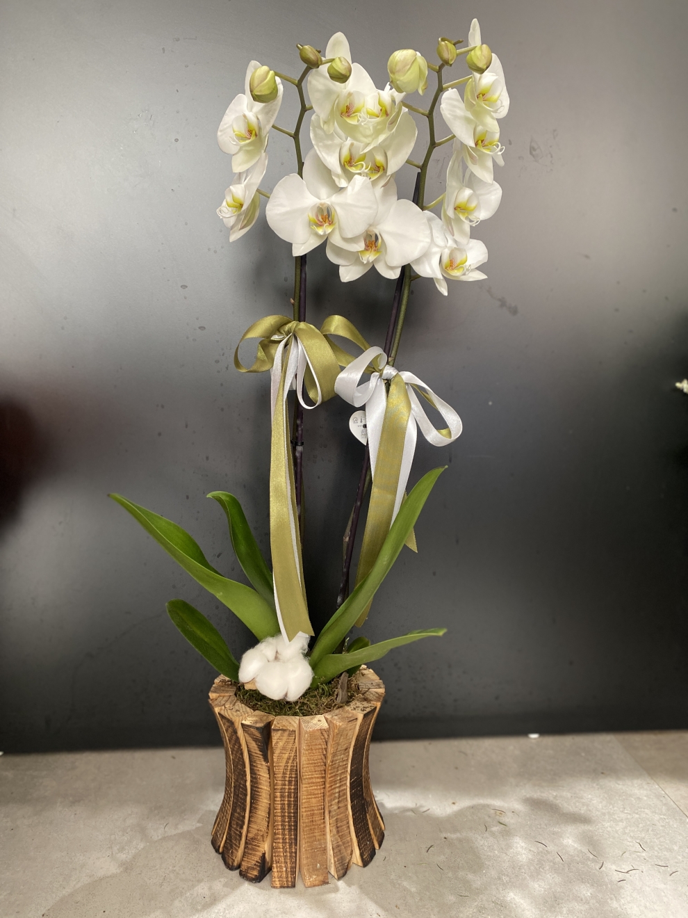 Ahşap saksıda beyaz orkide 