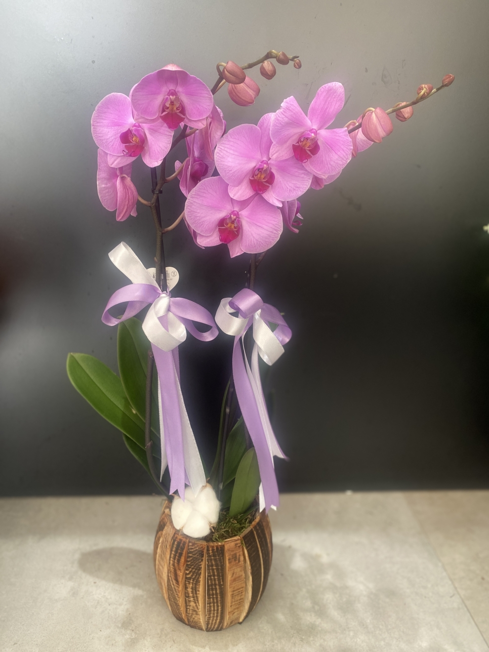 Ahşap saksıda pembe orkide